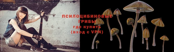 спиды Заволжье