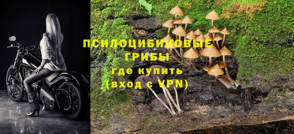 индика Елабуга