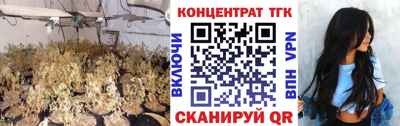 ТГК Wax Избербаш