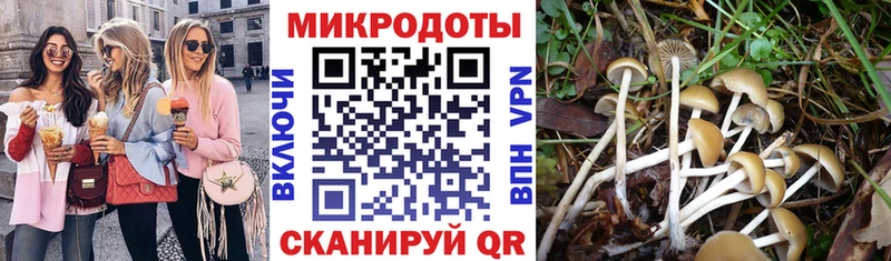 Галлюциногенные грибы MAGIC MUSHROOMS  Избербаш 